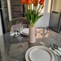 Фото Авторские апартаменты на улице Грибанова