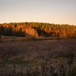 Фото Отель Дача Искона