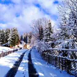 Фото Отель Куатанг