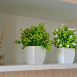 1-комнатные апартаменты студия