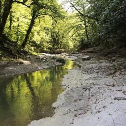 Фото Отель Домик в горах