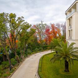 Grand Royal Residences (Гранд Роял Резиденс) — 7cef02d41bc2e86623e854c8ba8175c8