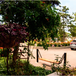 Фото Отель Пансионат Астерия