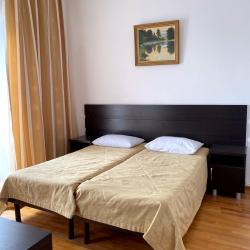 Горгиппия — 7cf7865cbd79d8287eb486e250479886