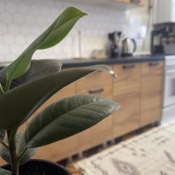 2-комнатные апартаменты улучшенные