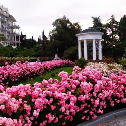 Фото Отель Palmira Palace Resort & SPA (Пальмира Палас Резорт и СПА)