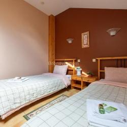 Фото Отель Родина