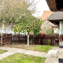 Фото Отель Диканька