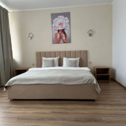 Номер стандарт комфорт с 1 двуспальной кроватью (с завтраком)