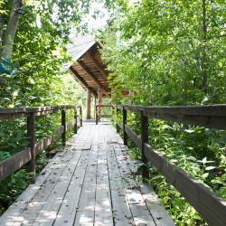 Фото Отель Загородный комплекс Аракуль