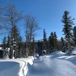 Фото Отель Vektor (Вектор)