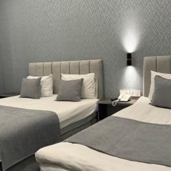 Фото Отель Aragats Hotel (Арагац)