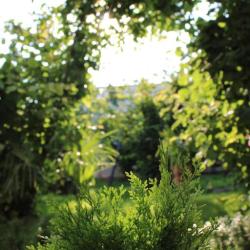 Фото Отель AMIGO на Морской (Амиго)