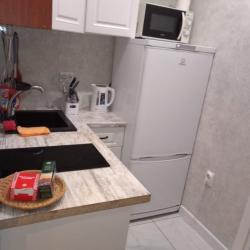 Фото Апартаменты на улице Курыжова 14