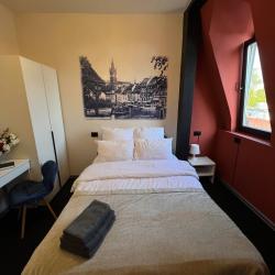 Номер стандарт с 1 двуспальной кроватью Альтштадт