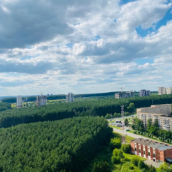 1-комнатные апартаменты студия