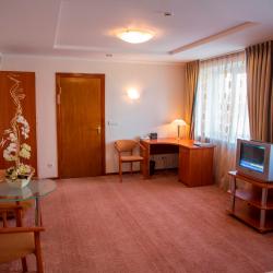 Номер люкс с 1 двуспальной кроватью