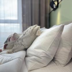 Фото Апартаменты Niki Rent на улице Волжская