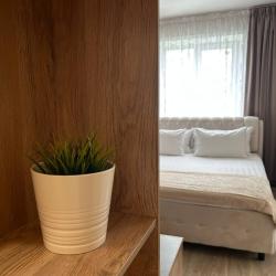 1-комнатные апартаменты студия