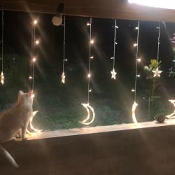 Фото Отель База отдыха Страна души