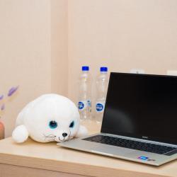 Фото Отель Atlas Hotel (Атлас)