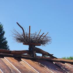 Фото Отель Прибрежный Ярбург