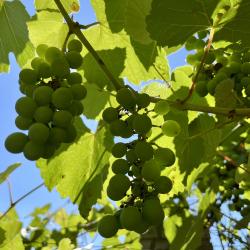 Фото Апартаменты на Крымской ГОСТИ-24