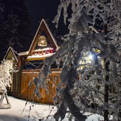 Фото Отель Гостевой Дом Троица