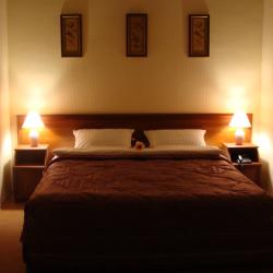 Номер люкс (с завтраком)