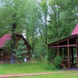 Фото Парк-отель Пересвет
