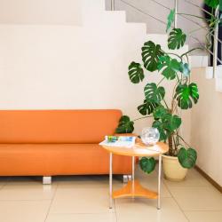 Фото Отель Клевер