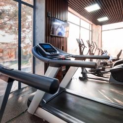 Фото Отель Wellness Hotel and Spa (Велнесс)