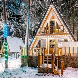 Коттедж премиум