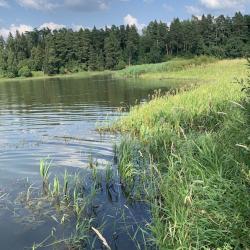 Фото Отель ShelestGlamp (Шелест)