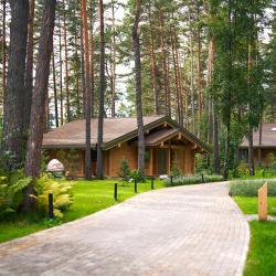 Фото Отель Grand Chalet Altay ZONT Hotel Group (Гранд Шале Алтай)