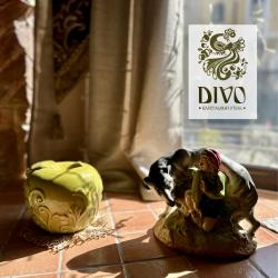 Одноместная капсула Divo