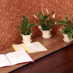 Фото Отель Уралочка