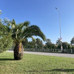 Фото Апартаменты на улице Акаций 34 корпус 2