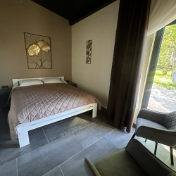 2-местная комната делюкс