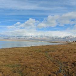 Фото Отель Алтайдом Белогорье