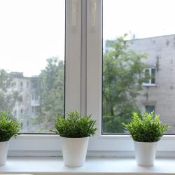 1-комнатные апартаменты стандарт улица Генерал-лейтенанта Озерова, 16А