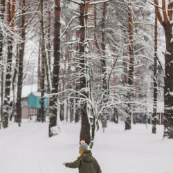 Фото Парк-отель Песчаный