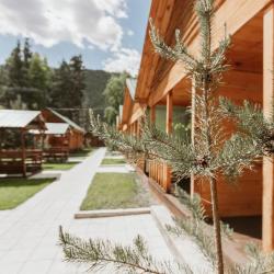 Фото Отель Altay Bereg (Алтай Берег)