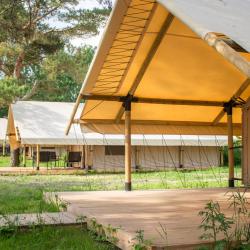 Фото Отель Малина