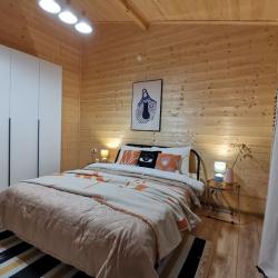 Фото Отель Загородный дом в Истринском районе, 235
