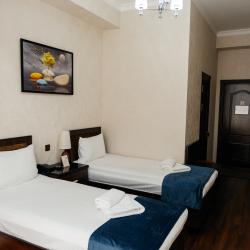 Фото Отель Ravan Hotel (Раван)