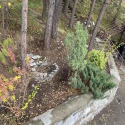 Фото Отель Greenhouse (Гринхаус)