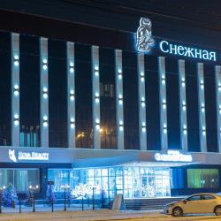 фото 7 Снежная сова