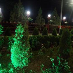 Фото Отель Фламинго