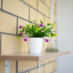 Фото Отель Compass (Компасс) на улице Обдорская 7